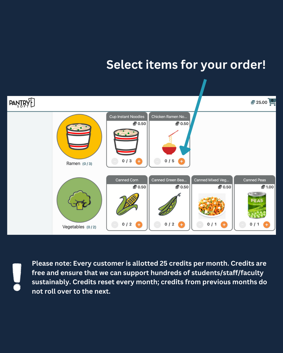 Screenshot of ordering instructions 4.